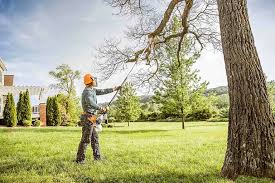 Trusted Monaca, PA  Tree Services Experts